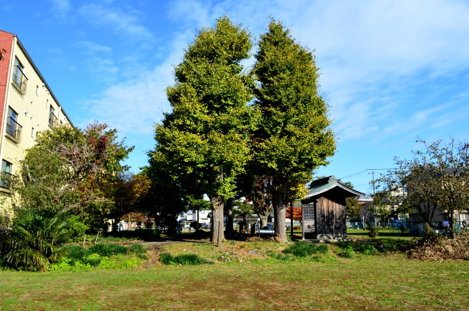 Sagami-kokubun-niji-ato kondou