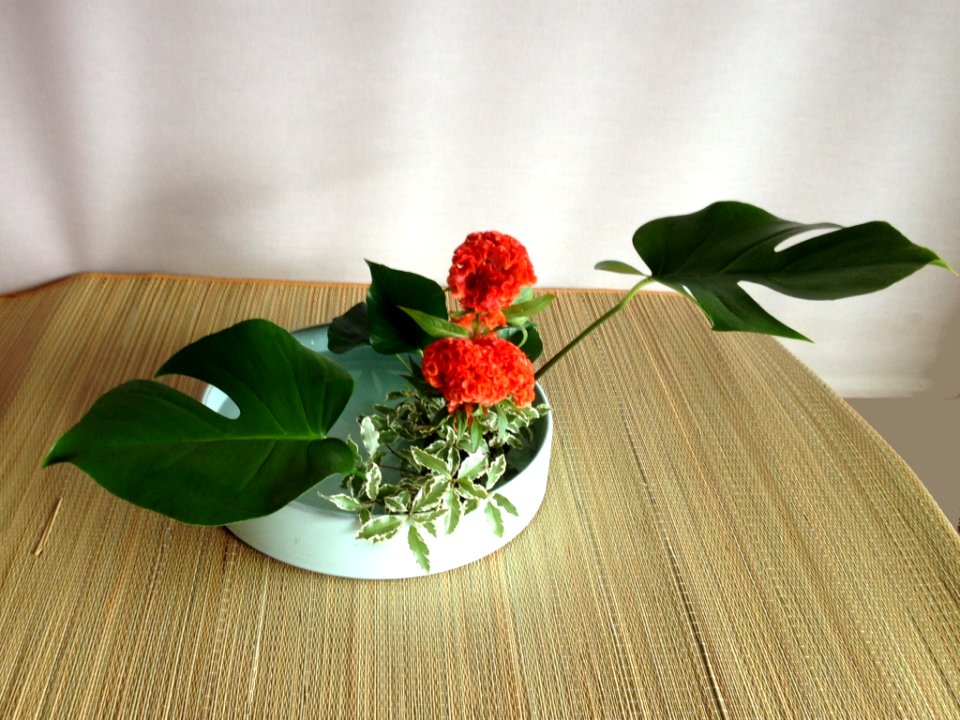 Saga Goryu moribana saseitai