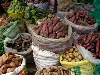 Sacs de tubercules au marché