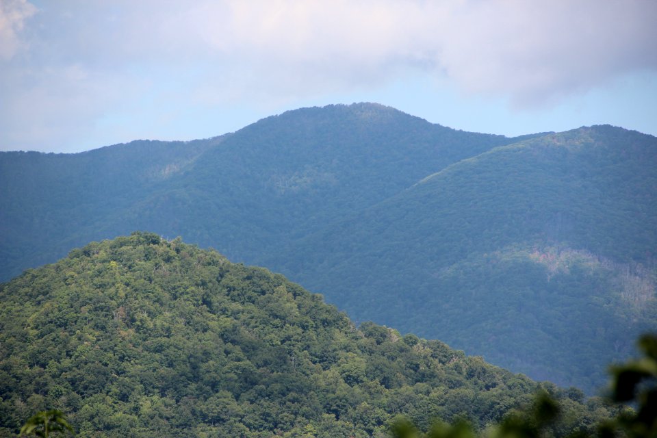 Saddle Tree Gap Peak from NC 143, Sept 2019
