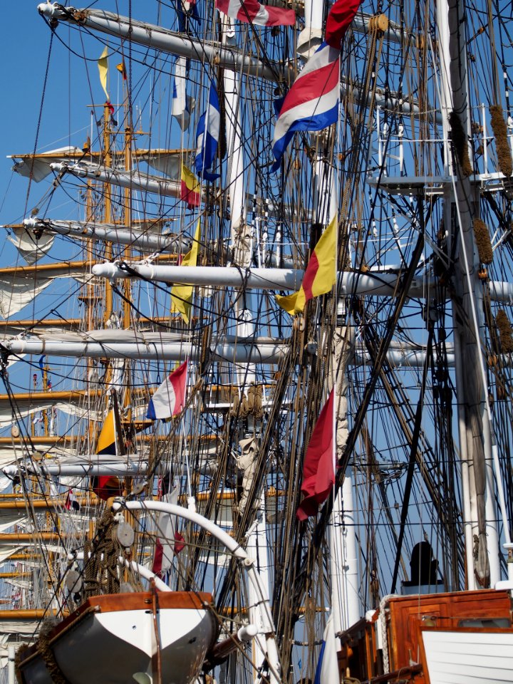 Sail Amsterdam - Masts