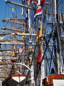 Sail Amsterdam - Masts