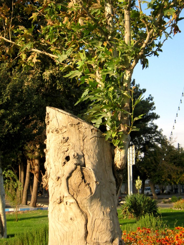 Sadeghi sq - Khayyam boulevard - Nishapur 13