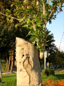 Sadeghi sq - Khayyam boulevard - Nishapur 13