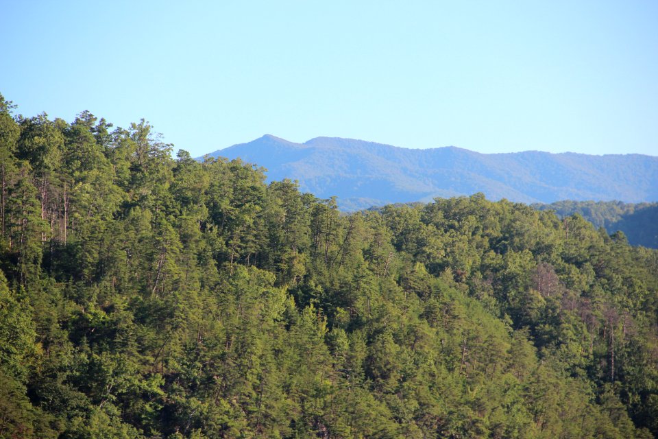 Saddle Tree Gap Peak from US 129, Aug 2019