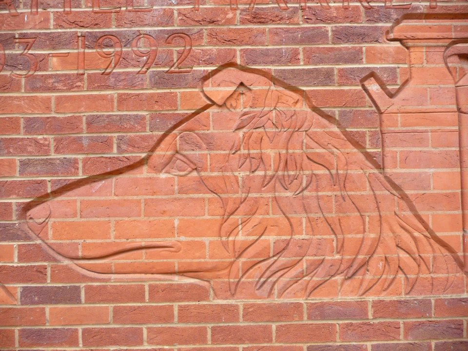 Sainsbury's in Market Harborough 11