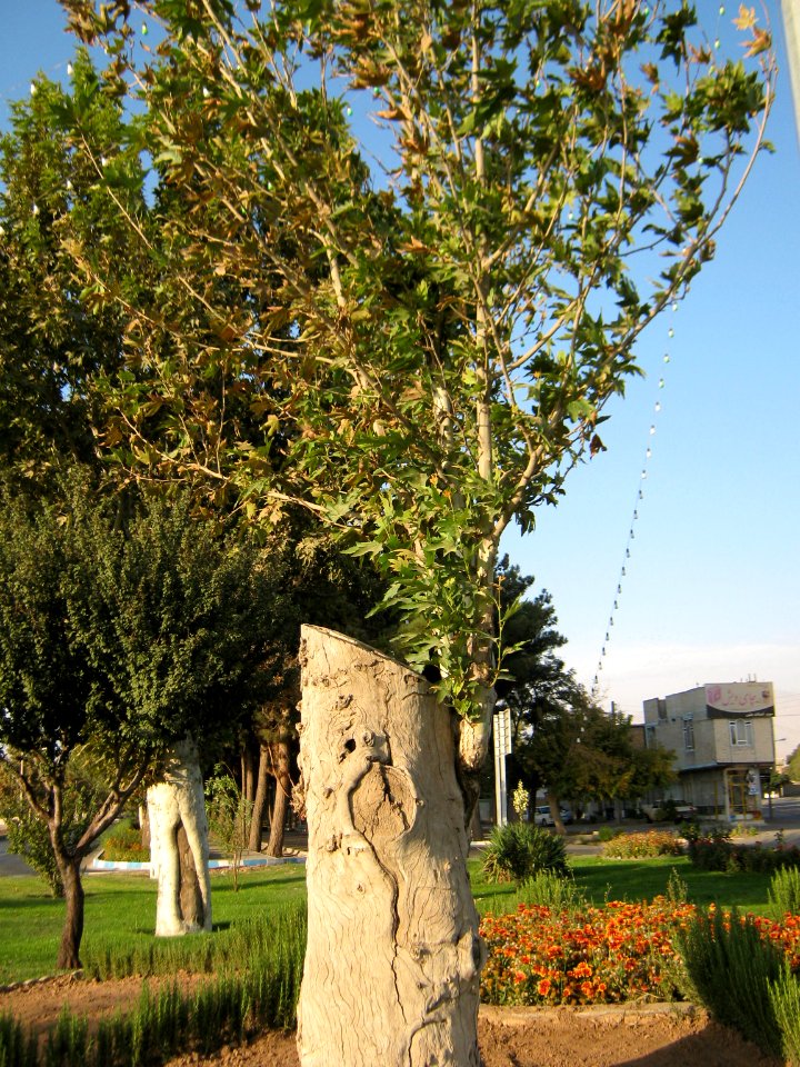 Sadeghi sq - Khayyam boulevard - Nishapur 12