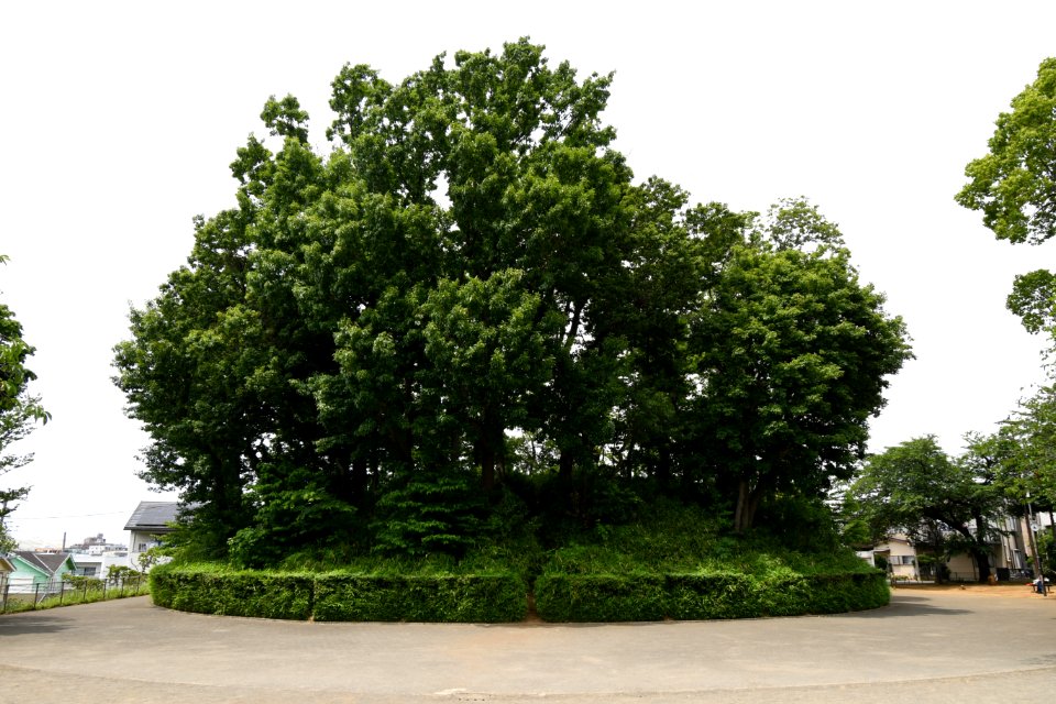 Saifukuji Kofun, funkyu