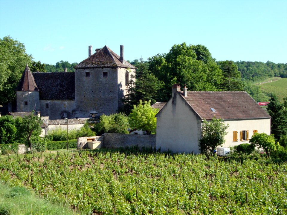 Saint-Aubin (Côte-d'Or, Fr) Château de Gamay, 2