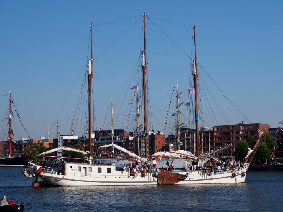 SAIL Amsterdam - Elizabeth