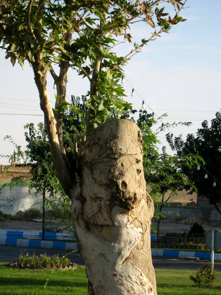 Sadeghi sq - Khayyam boulevard - Nishapur 08