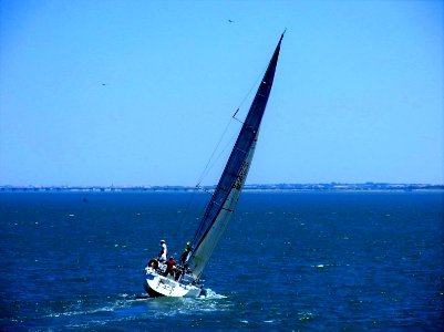 Sailing Abôve Dreams 3 (164637931)