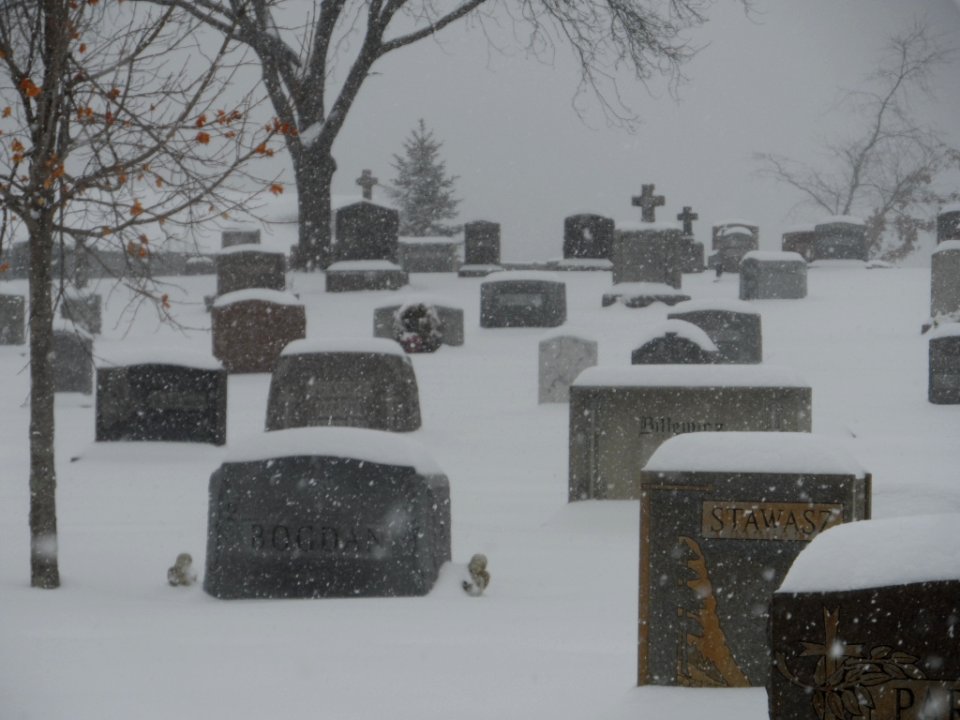Saint Stanislaus cemetery