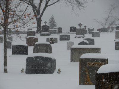 Saint Stanislaus cemetery photo