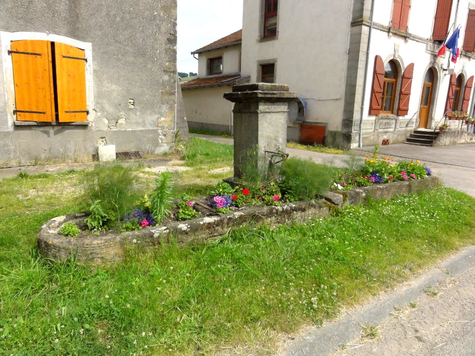 Saint-Boingt (M-et-M) fontaine