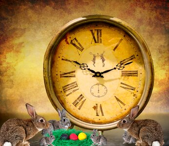 Egg decoration easter greeting