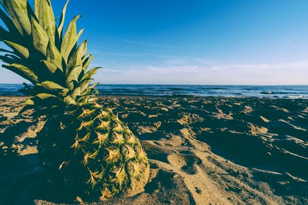 Horizon lake ocean photo