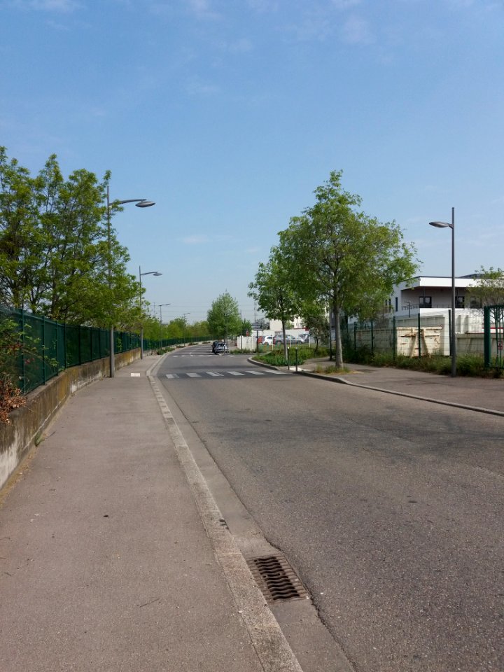 Saint-Fons - Avenue Charles de Gaulle, virage nord avant la rue de la République