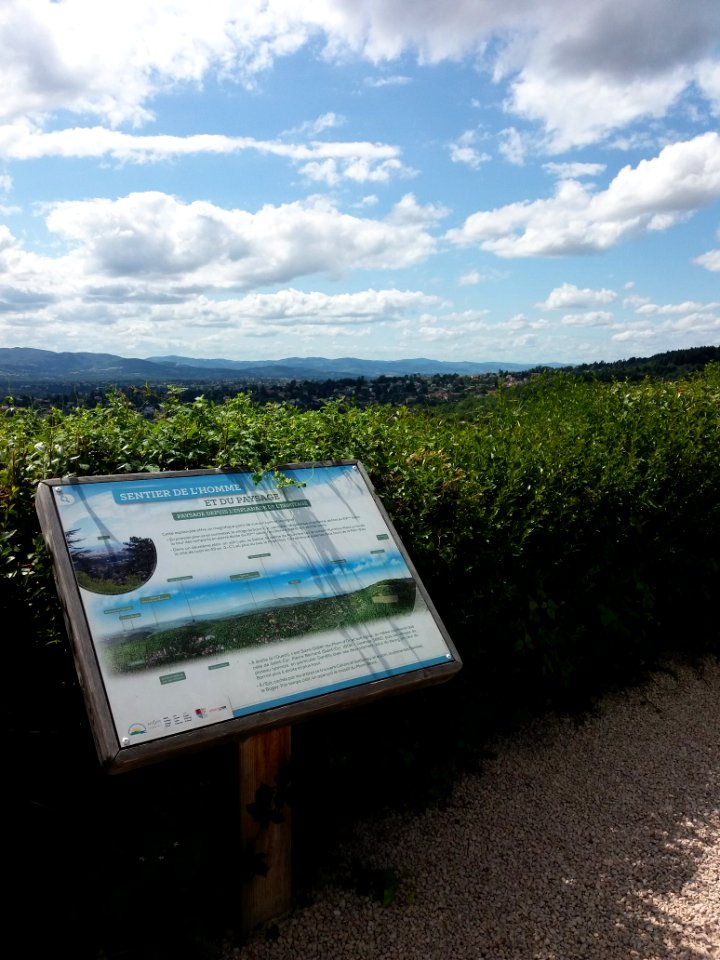 Saint-Cyr-au-Mont-d'Or - Table d'orientation