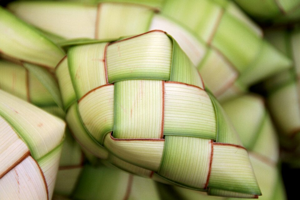 Traditional bamboo philippines