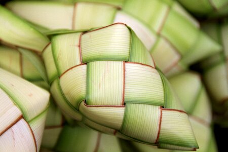 Traditional bamboo philippines