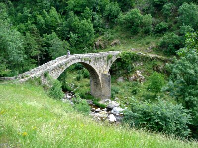 Saint-André-de-Chalancon, l'Ance, pont du diable