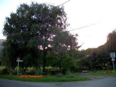 Sainte-Marie (Hautes-Pyrénées) 01