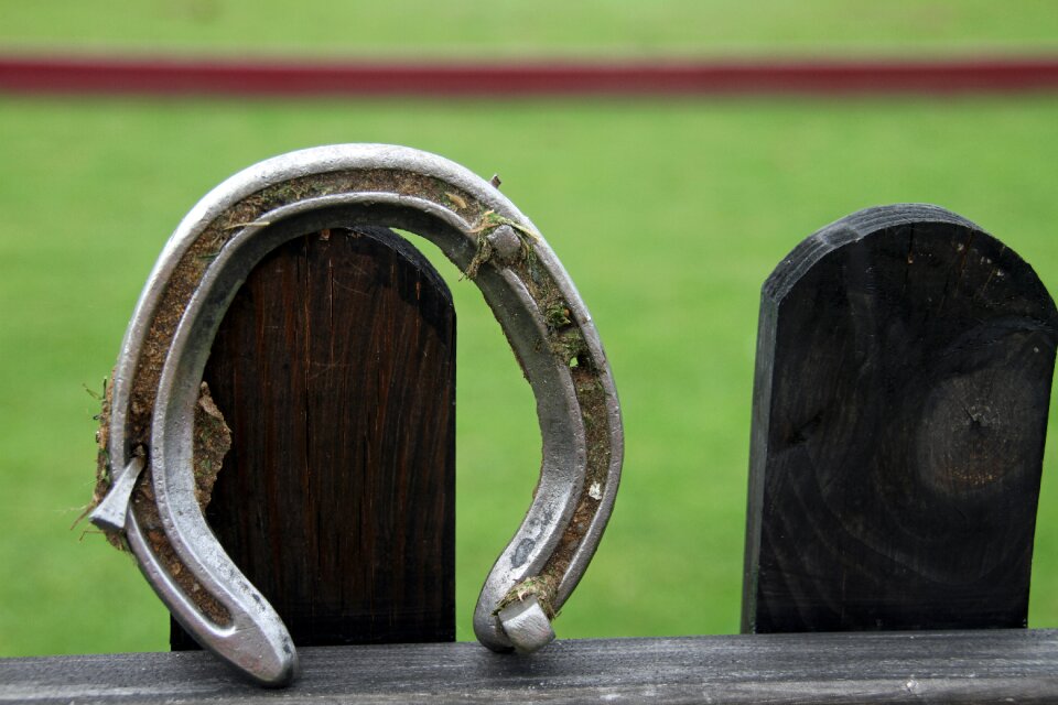 Blacksmith equine equestrian