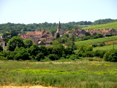 Saint-Aubin (Côte-d'Or) Vue d'ensemble 2