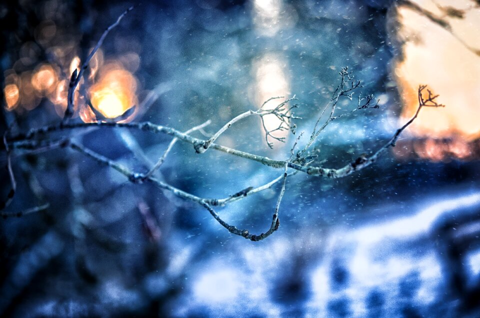 Snowfall finland nature