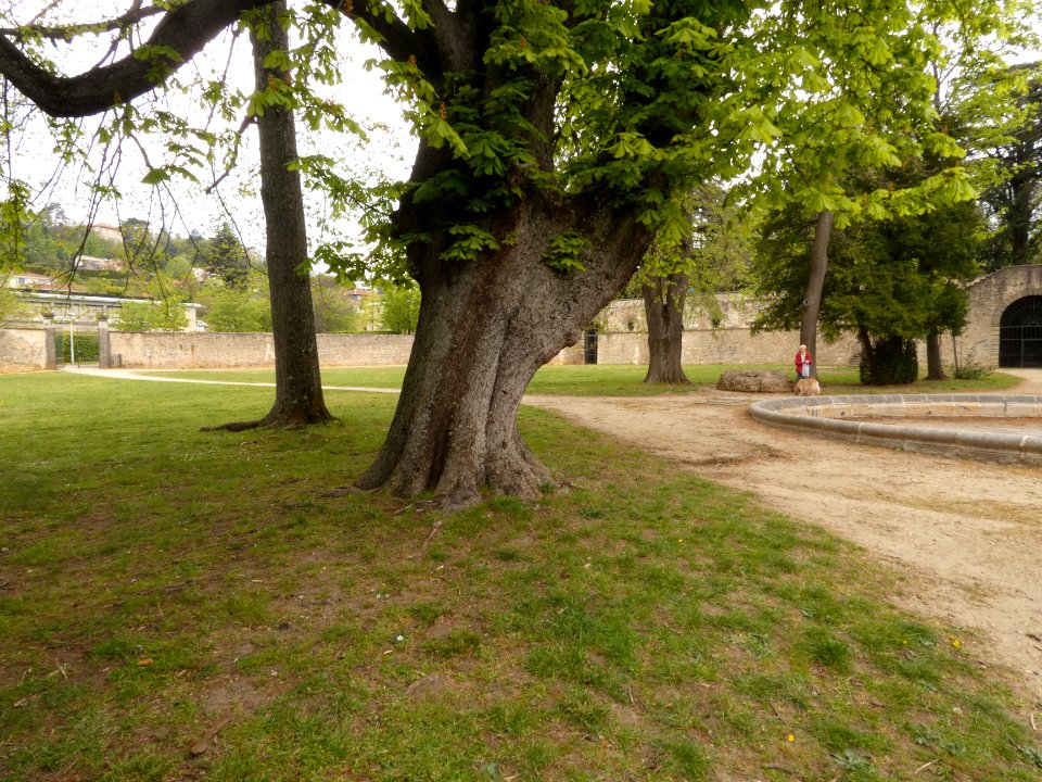 Saint-Genis-Laval - Parc de Beauregard - Grand jardin 04