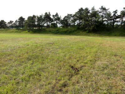 Saint-Thomas (Aisne) camp des Romains (03)