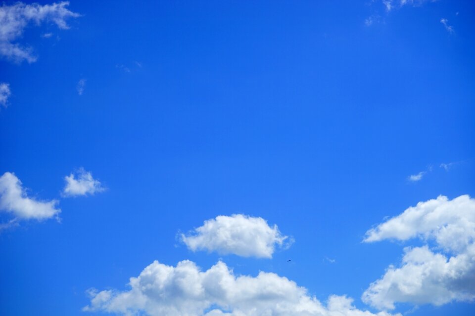 White blue summer day