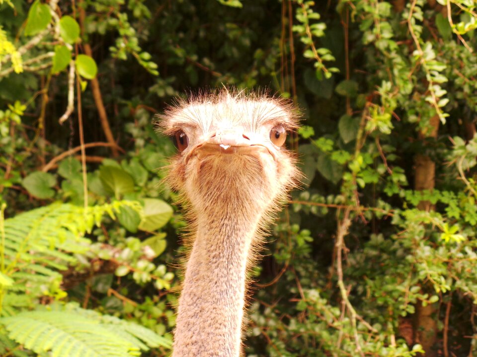 Closeup conservation tourism