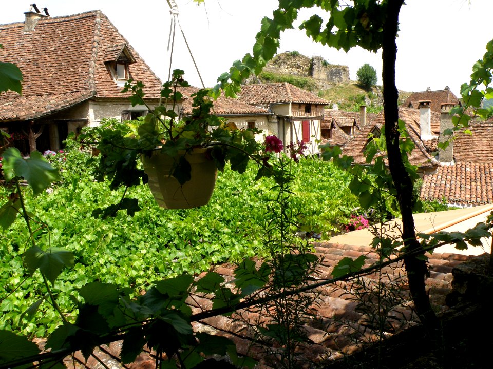 Saint-Cirq-Lapopie Toits 11