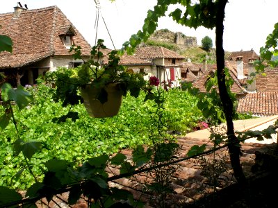 Saint-Cirq-Lapopie Toits 11