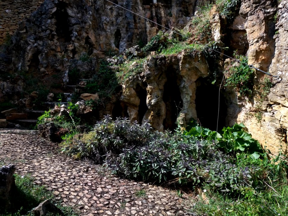 Saint-Cyr-au-Mont-d'Or - Ermitage du Mont Cindre - Jardin de prière, chemin et escalier