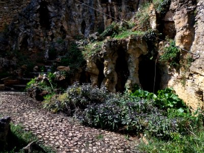 Saint-Cyr-au-Mont-d'Or - Ermitage du Mont Cindre - Jardin de prière, chemin et escalier