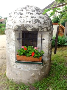 Saint-Claude-de-Diray (Loir-et-Cher) puits fleuri
