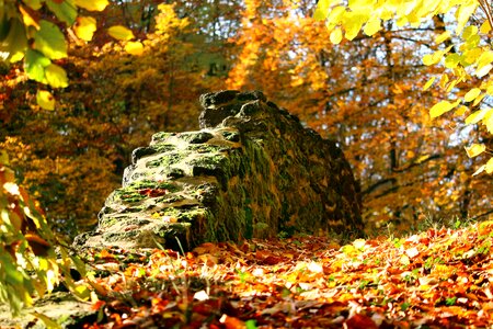 Castle park ludwigslust-parchim grotto photo