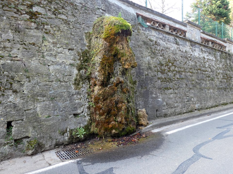 Sainte-Foy-lès-Lyon - Chemin de Fontanières - Source, au niveau du numéro 144