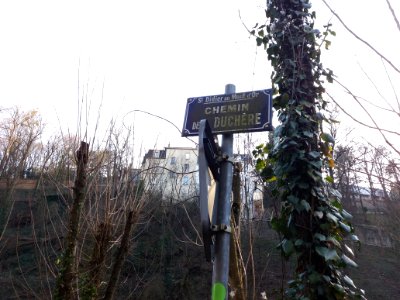 Saint-Didier-au-Mont-d'Or - Chemin de la Duchère - Plaque