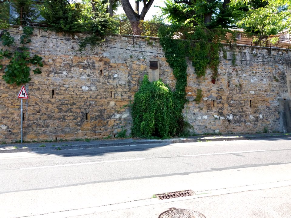Sainte-Foy-lès-Lyon - Chemin de Fontanières - Source au pied du domaine de Fontanières