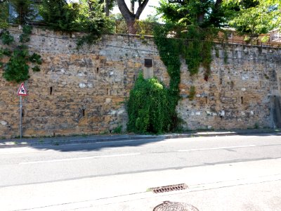 Sainte-Foy-lès-Lyon - Chemin de Fontanières - Source au pied du domaine de Fontanières