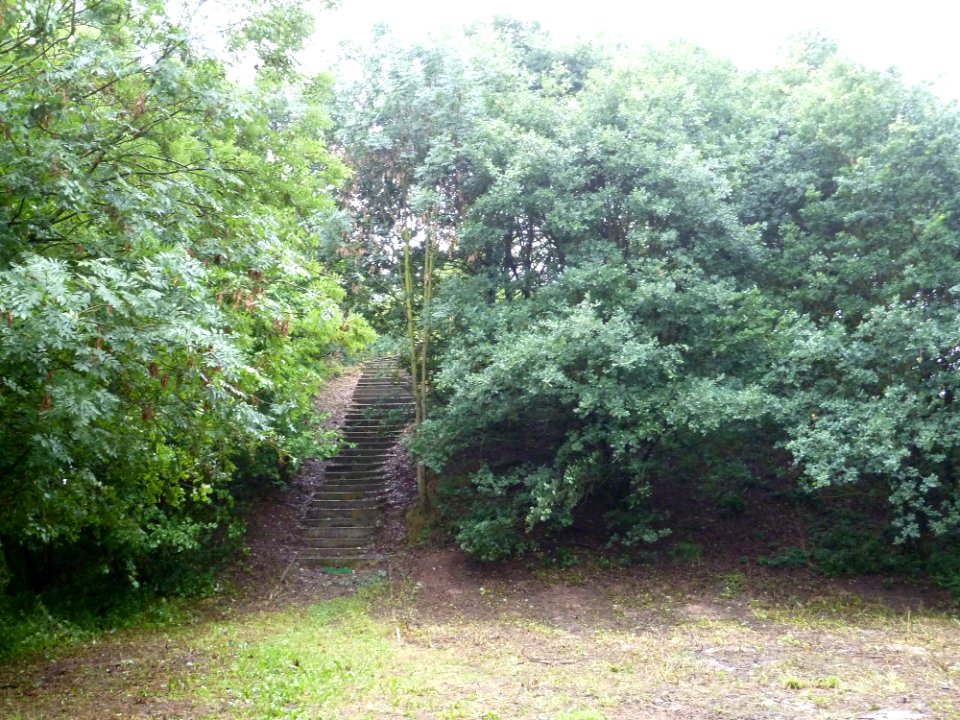Saint-Georges-sur-Meuse-Tumulus van Yernawe (1)