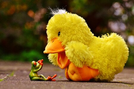 Dangerous funny cute