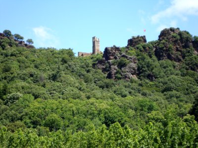 Saint-Gervais-sur-Mare (Hérault, Fr) ruïne de Neyran