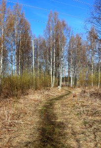 Saarelansaari Oulu 20140517