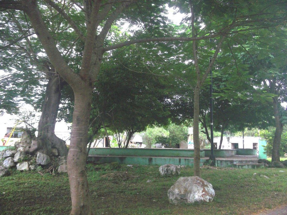 Sabacché (Tecoh), Yucatán (02)