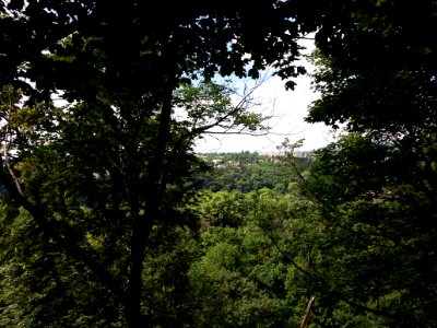 Sainte-Foy-lès-Lyon - Vue sur Oullins depuis le haut des arbres dans le parc City Adventures photo